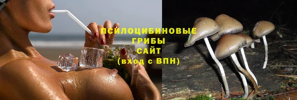 дживик Богородск