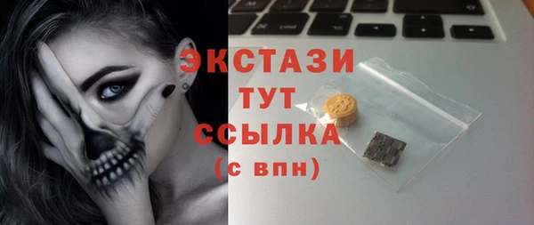 дживик Богородск