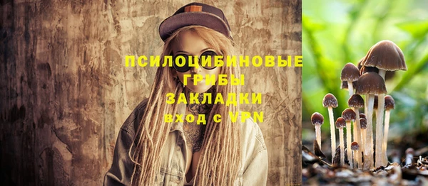 СК Богданович