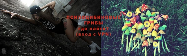 дживик Богородск
